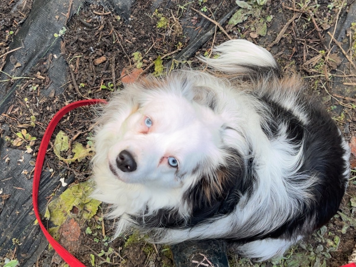 arbeitswoche & roadtrip