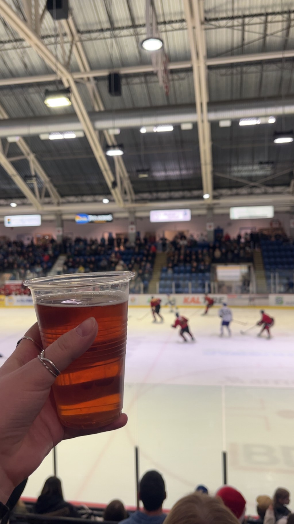 a very canadian&nbsp;day